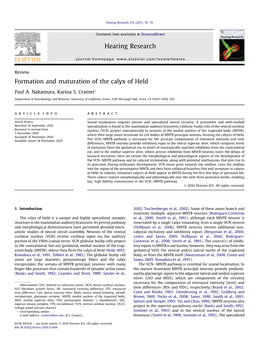 Formation and Maturation of the Calyx of Held