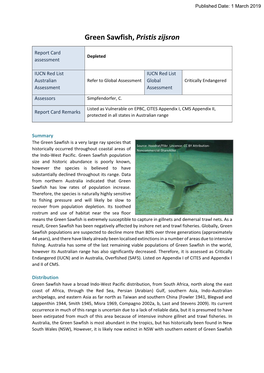 Green Sawfish, Pristis Zijsron