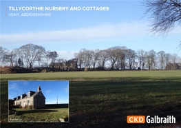 Tillycorthie Nursery and Cottages Udny, Aberdeenshire