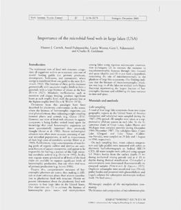 Importance of the Microbial Food Web in Large Lakes (USA)