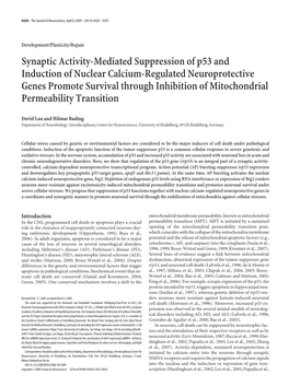 Synaptic Activity-Mediated Suppression of P53 and Induction