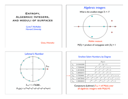 Entropy, Algebraic Integers, and Moduli of Surfaces
