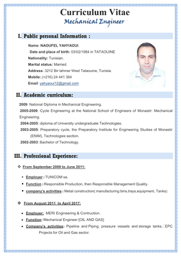 Curriculum Vitae Mechanical Engineer