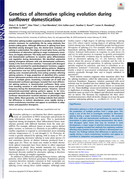 Genetics of Alternative Splicing Evolution During Sunflower Domestication