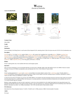 Acacia Viscidula Benth