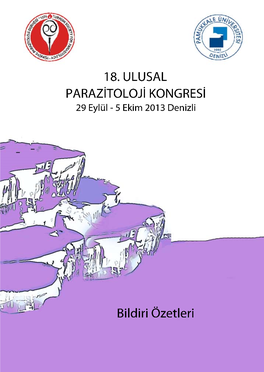 02 Ulusal 18 Ozet Kitabi.Pdf