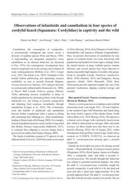 Observations of Infanticide and Cannibalism in Four Species of Cordylid Lizard (Squamata: Cordylidae) in Captivity and the Wild