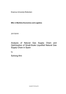 Analysis of Natural Gas Supply Chain and Optimisation of Small-Scale Liquefied Natural Gas Supply Chain in Spain By