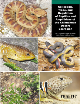 Collection, Trade, and Regulation of Reptiles and Amphibians of the Chihuahuan Desert Ecoregion