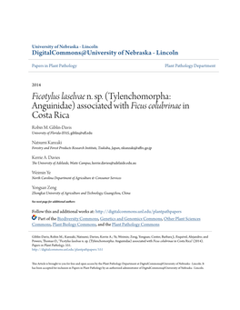 Tylenchomorpha: Anguinidae) Associated with Ficus Colubrinae in Costa Rica Robin M