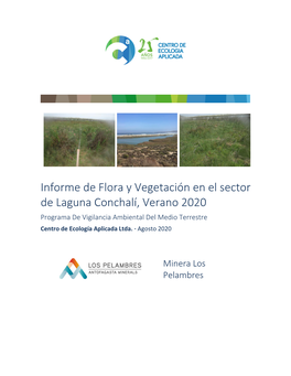 Informe De Flora Y Vegetación En El Sector De Laguna Conchalí, Verano 2020 Programa De Vigilancia Ambiental Del Medio Terrestre Centro De Ecología Aplicada Ltda