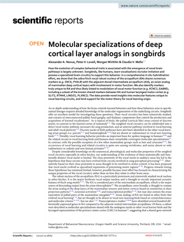 Molecular Specializations of Deep Cortical Layer Analogs in Songbirds Alexander A