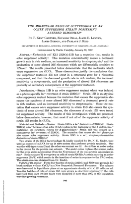 The Molecular Basis of Suppression in an Ochre Suppressor Strain Possessing Altered Ribosomes* by T