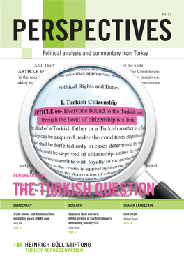 The Turkish Question