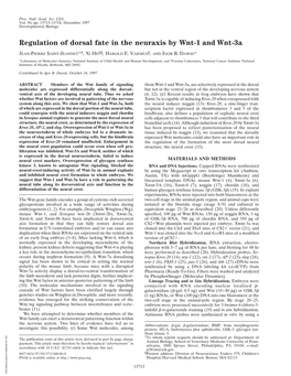 Regulation of Dorsal Fate in the Neuraxis by Wnt-1 and Wnt-3A