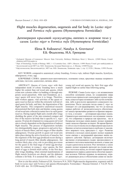 Flight Muscles Degeneration, Oogenesis and Fat Body in Lasius Niger and Formica Rufa Queens (Hymenoptera: Formicidae)