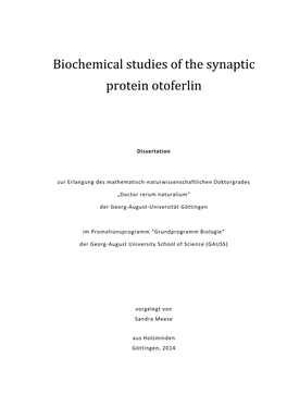 Biochemical Studies of the Synaptic Protein Otoferlin