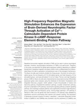 High-Frequency Repetitive Magnetic Stimulation Enhances The