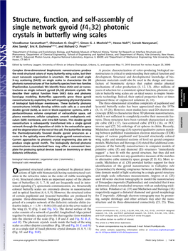 Structure, Function, and Self-Assembly of Single Network Gyroid (I4132) Photonic Crystals in Butterfly Wing Scales