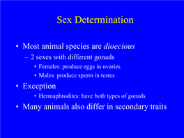 Sex Determination