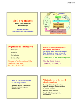 Soil Organisms H�O Herbivore�Primary Consumer� NH� Kinds, Roles and Inter- � NO� Carnivore (Secondary, Relationships Mineral Higher Level Consumer)