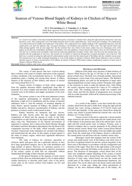 Sources of Venous Blood Supply of Kidneys in Chicken of Haysex White Breed