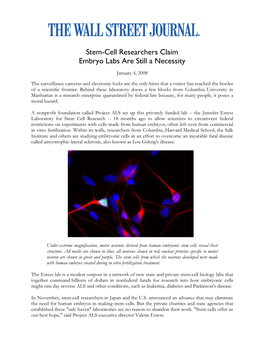 Stem-Cell Researchers Claim Embryo Labs Are Still a Necessity