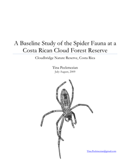 A Baseline Study of the Spider Fauna at a Costa Rican Cloud Forest Reserve Cloudbridge Nature Reserve, Costa Rica