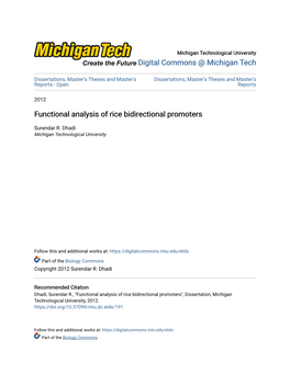 Functional Analysis of Rice Bidirectional Promoters