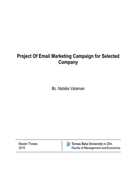 Project of Email Marketing Campaign for Selected Company