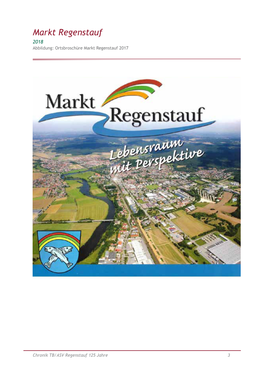 Markt Regenstauf 2017-2018 Abbildung: Ortsbroschüre Markt Regenstauf 2017 Markt Regenstauf ------2018 ------Abbildung: Ortsbroschüre Markt Regenstauf 2017