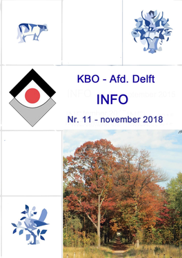 INFO Nr.11 November 2018.Pdf