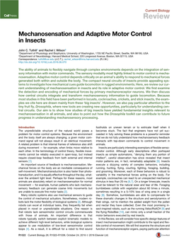 Mechanosensation and Adaptive Motor Control in Insects