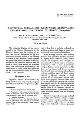 NEEOTROPICAL MIRIDAE, CLIV: BICURVICORIS, HYALOPSALLUS and NIGRIMIRIS, NEW GENERA of PHYINI (Hemiptera)'
