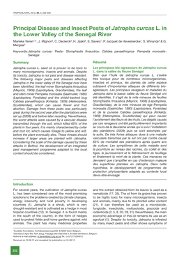 Principal Disease and Insect Pests of Jatropha Curcas L. in the Lower Valley of the Senegal River Marieke Terren1,2*, J