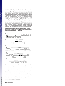 Identification of Mycobacterium Avium Pathogenicity Island Important For