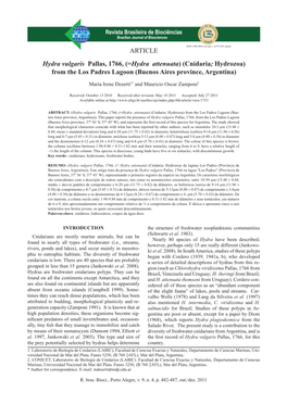 ARTICLE Hydra Vulgaris Pallas, 1766, (=Hydra Attenuata) (Cnidaria; Hydrozoa) from the Los Padres Lagoon (Buenos Aires Province, Argentina)