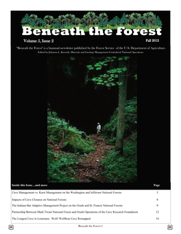 Beneath the Forest, Fall 2012 Internal Version