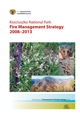 Kosciuszko National Park Fire Management Strategydownload