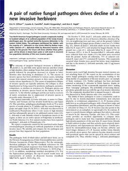 A Pair of Native Fungal Pathogens Drives Decline of a New Invasive Herbivore