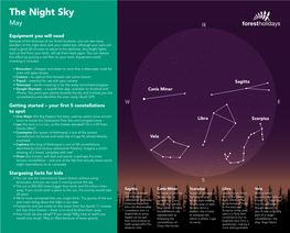 May Stargazing in the Forest