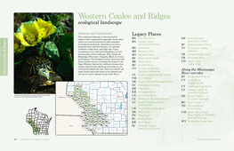 Western Coulee and Ridges Ecological Landscape