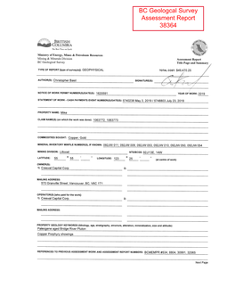 BC Geologcal Survey Assessment Report 38364