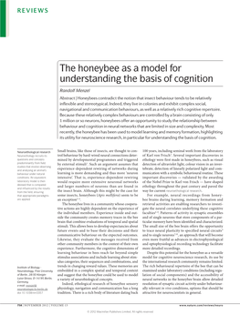 The Honeybee As a Model for Understanding the Basis of Cognition