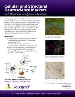 Cellular and Structural Neuroscience Markers SMI® Monoclonals and Β-Tubulin Antibodies