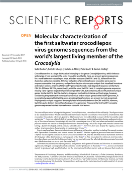 Molecular Characterization of the First Saltwater Crocodilepox Virus