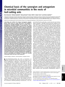 Chemical Basis of the Synergism and Antagonism in Microbial Communities in the Nests of Leaf-Cutting Ants