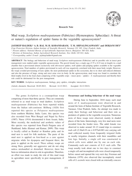 Mud Wasp, Sceliphron Madraspatanum (Fabricius) (Hymenoptera: Sphecidae): a Threat Or Nature's Regulation of Spider Fauna in the Vegetable Agroecosystem?