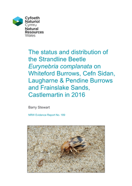 The Status and Distribution of the Strandline Beetle Eurynebria