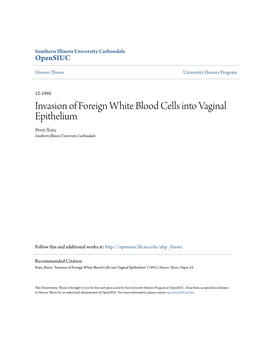 Invasion of Foreign White Blood Cells Into Vaginal Epithelium Brent Ibata Southern Illinois University Carbondale